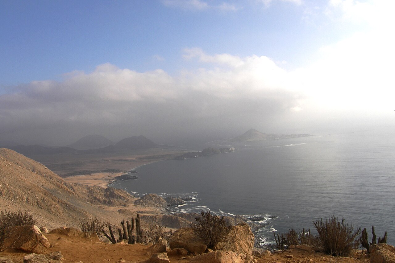 Foto de Caleta Pan de Azúcar (3)