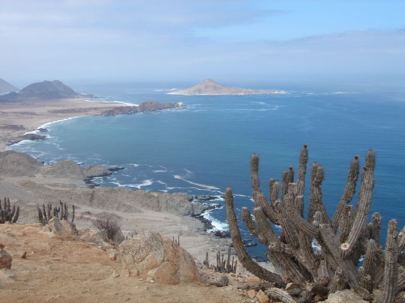 Foto de Caleta Pan de Azúcar (4)