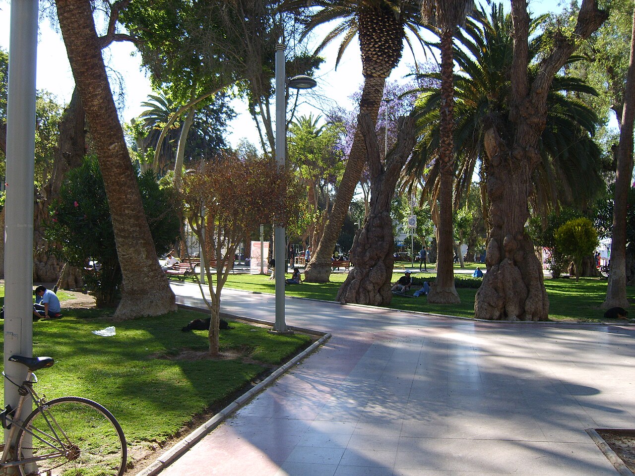 Foto de Plaza de Armas de Copiapó (4)
