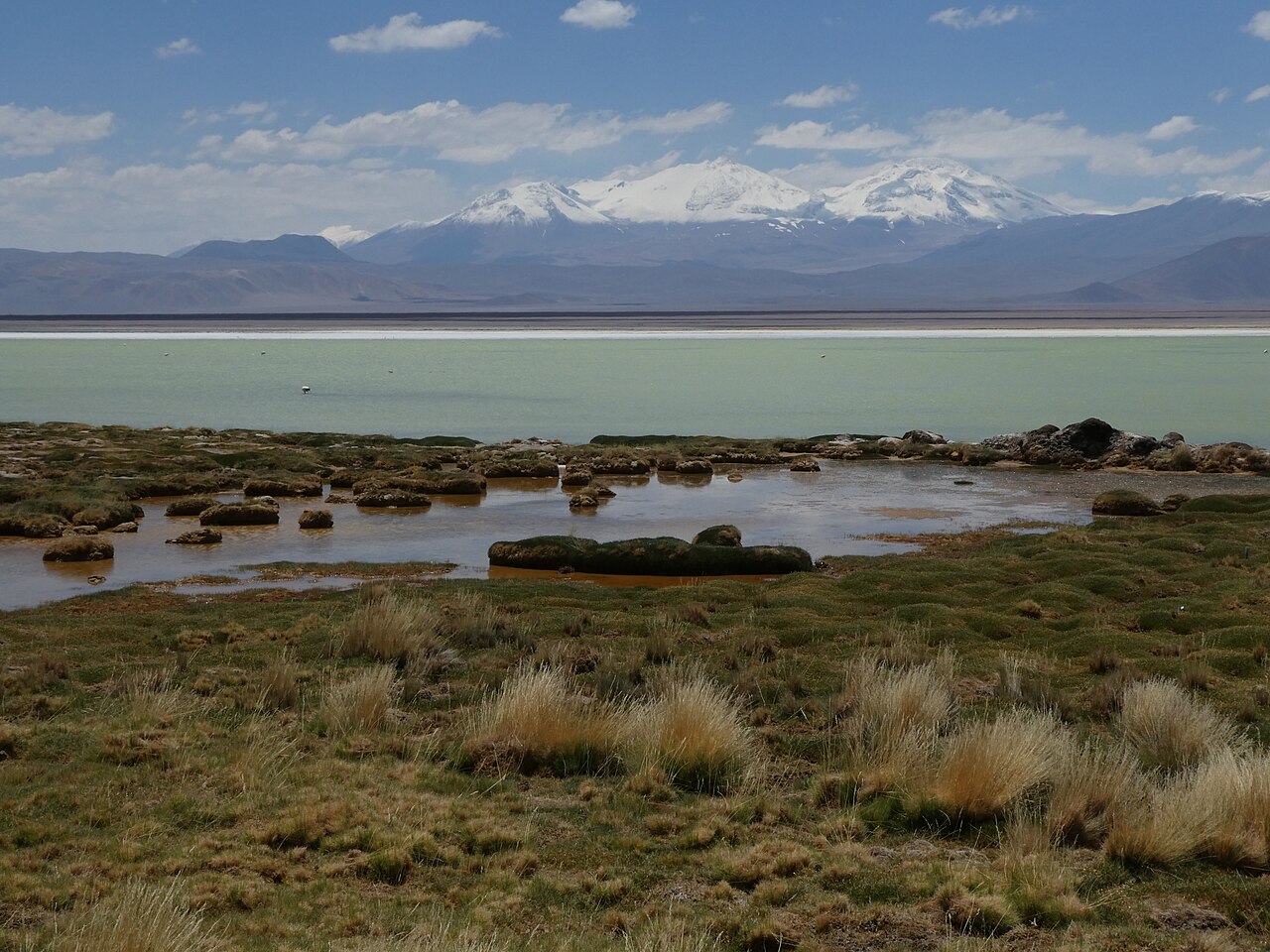 Laguna Santa Rosa