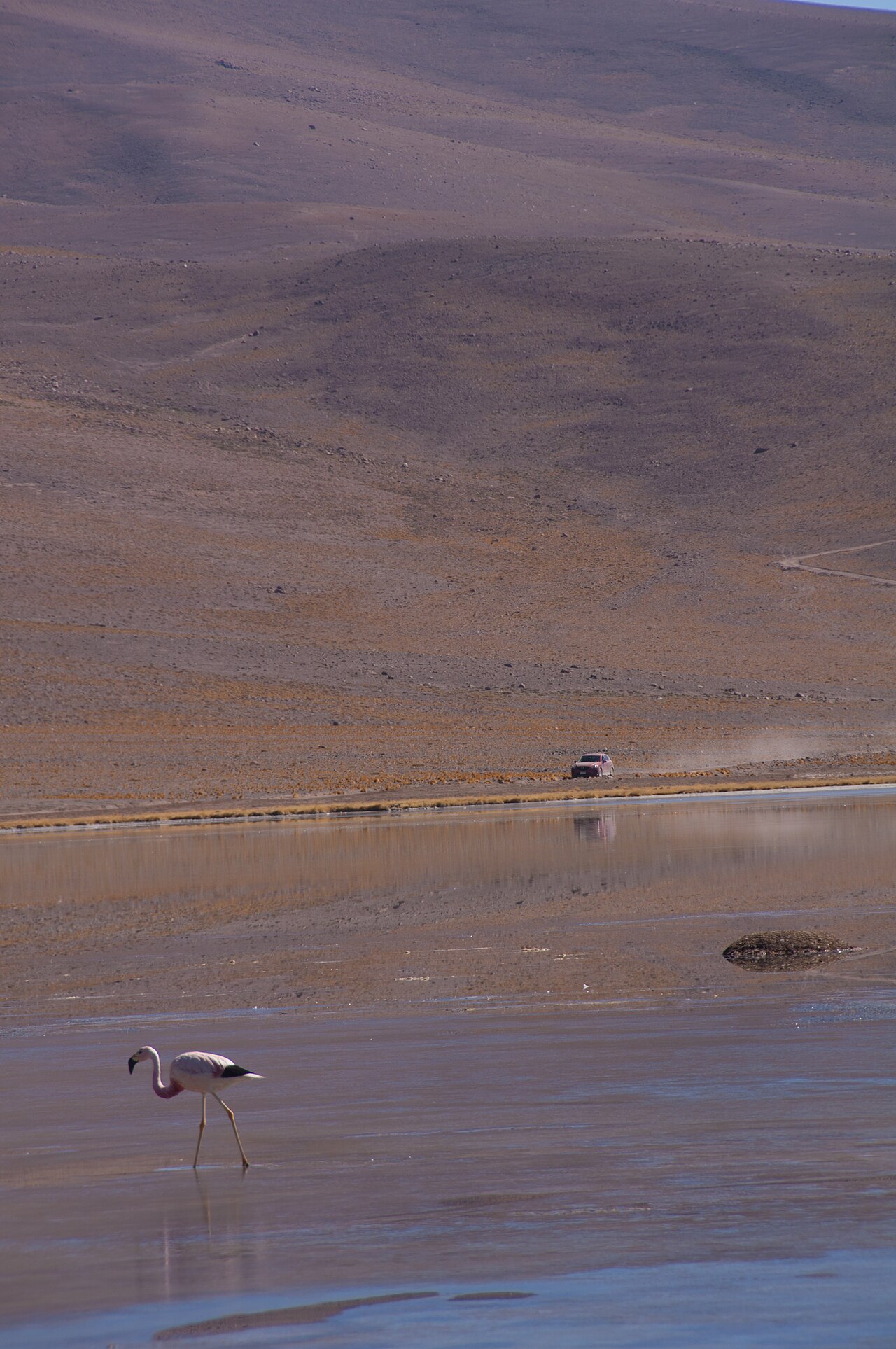 Foto de Laguna Santa Rosa (3)