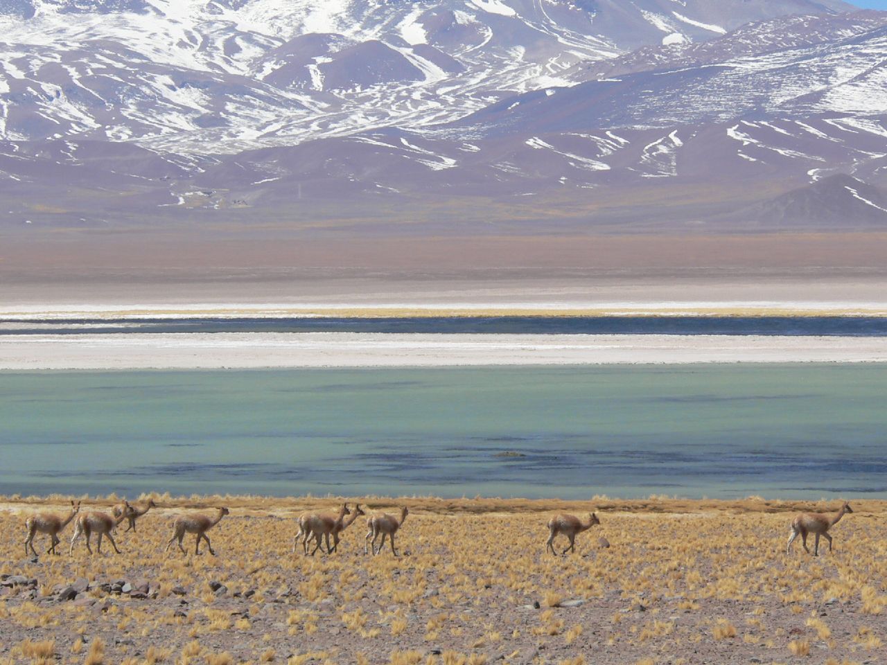 Foto de Laguna Santa Rosa (4)