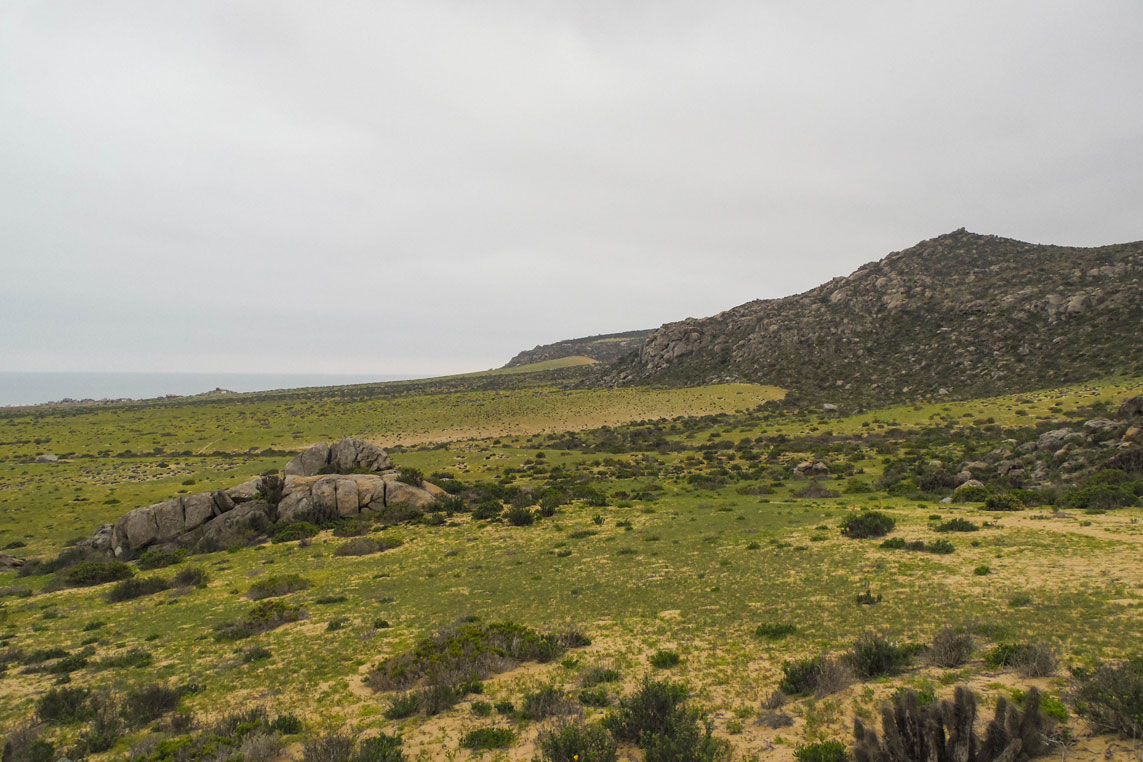 Photo of Parque Nacional Llanos de Challe (3)