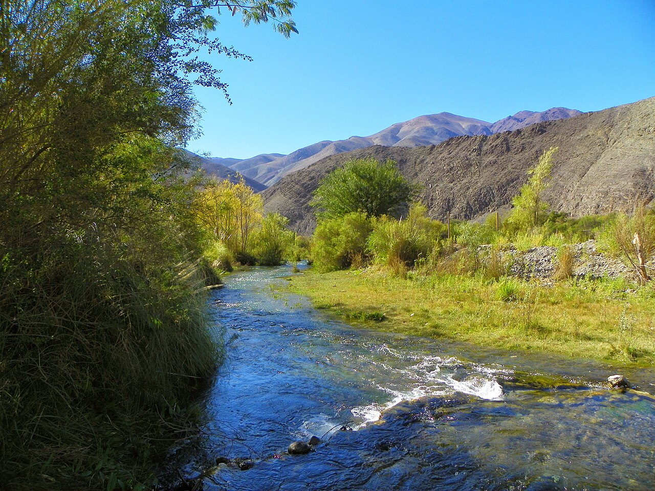 Photo of Valle de Alto del Carmen (3)