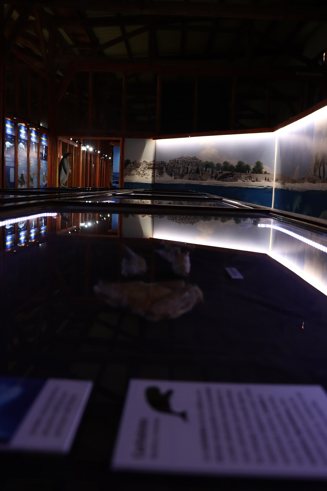 Museo Paleontológico de Caldera