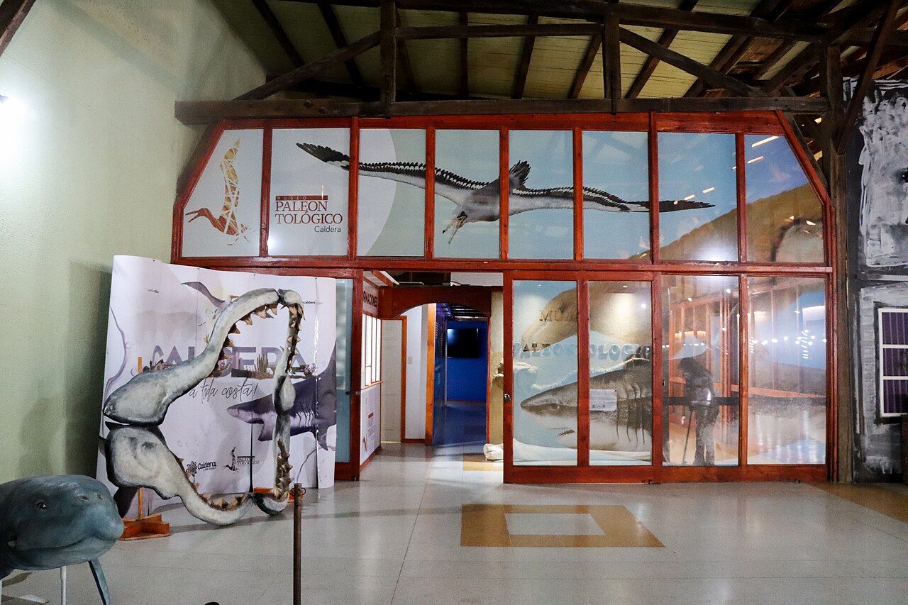 Foto de Museo Paleontológico de Caldera (3)