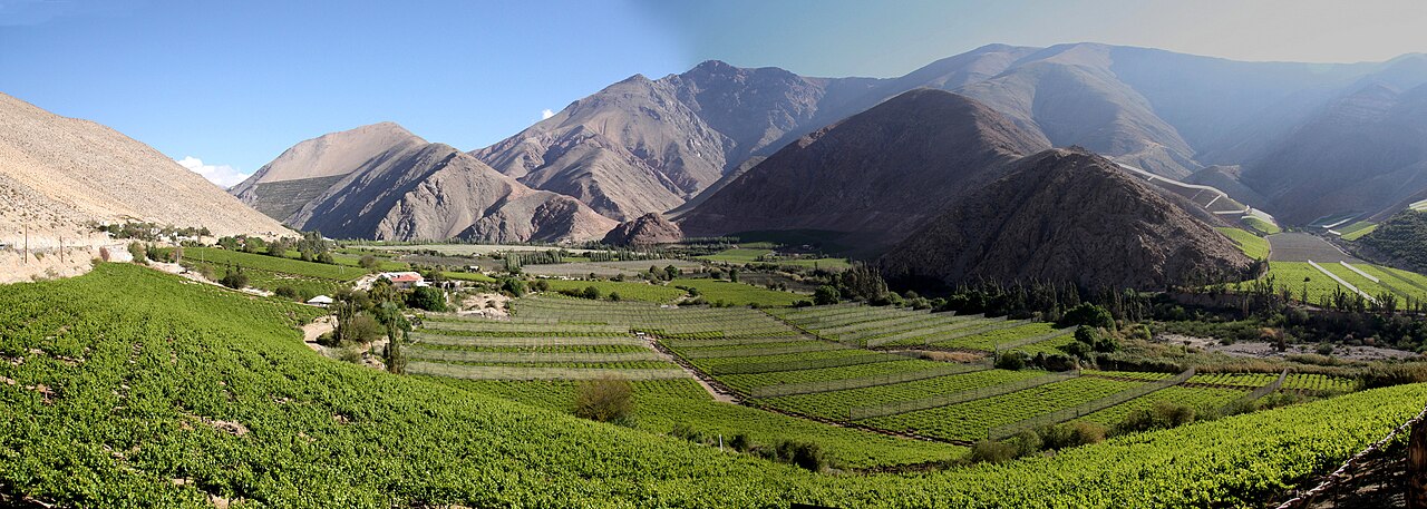 Foto de Plaza de Pisco Elqui (3)