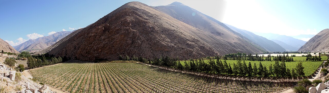 Foto de Plaza de Pisco Elqui (4)