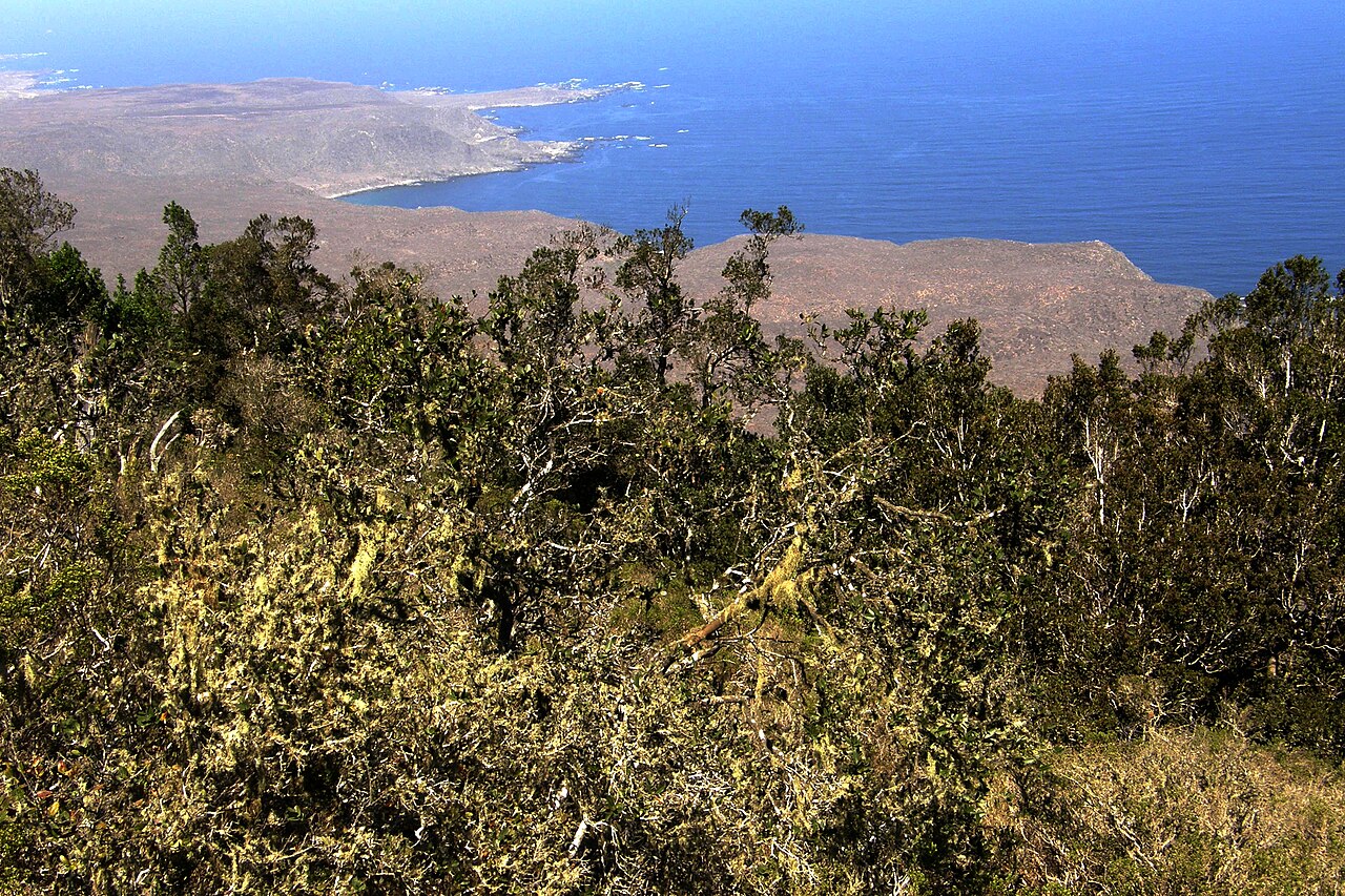 Parque Nacional Bosque Fray Jorge