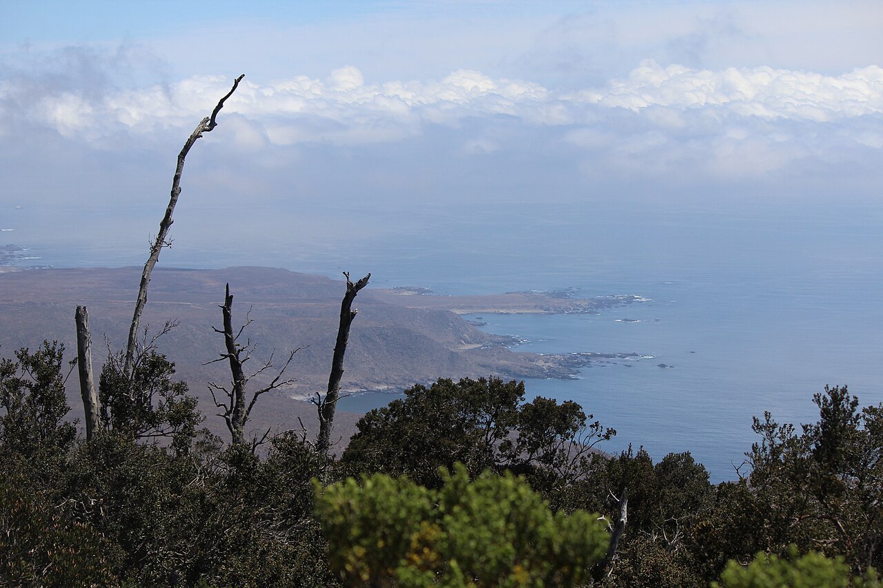 Foto de Parque Nacional Bosque Fray Jorge (4)