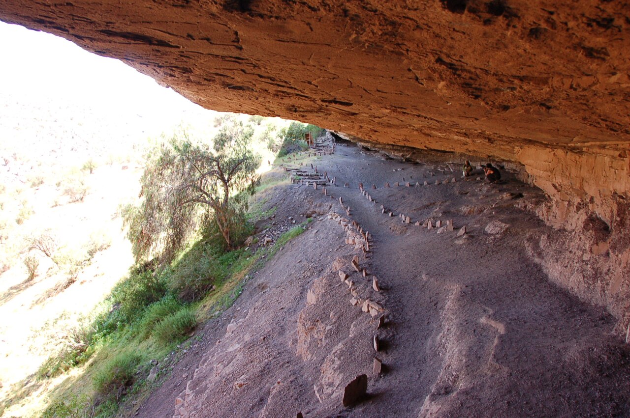 Foto de Monumento Natural Pichasca (3)