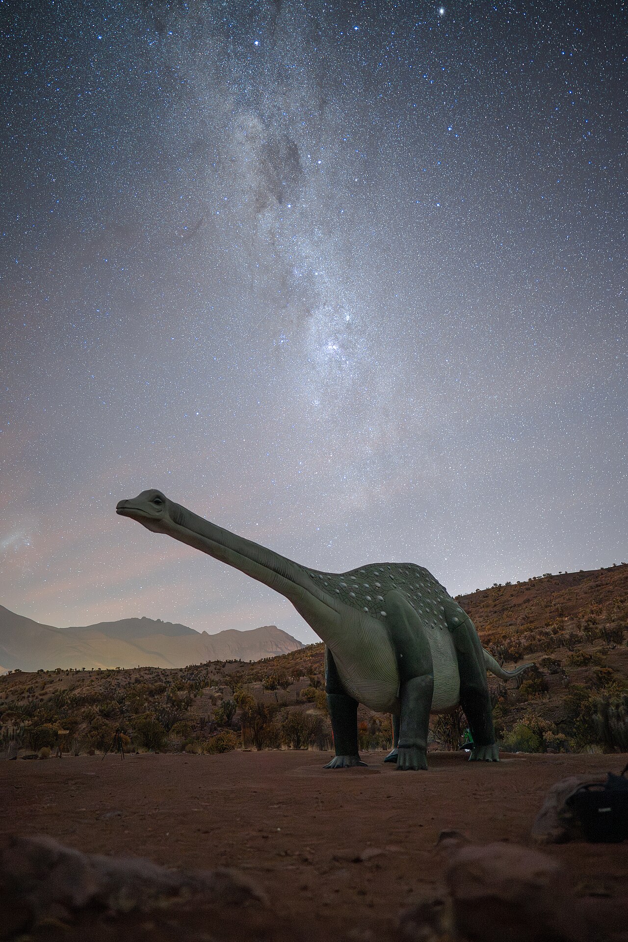 Foto de Monumento Natural Pichasca (4)