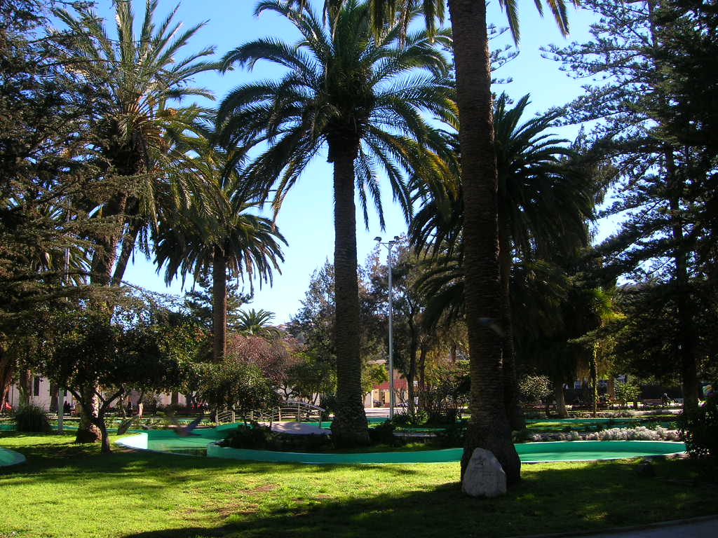 Foto de Plaza de Armas de Ovalle (4)