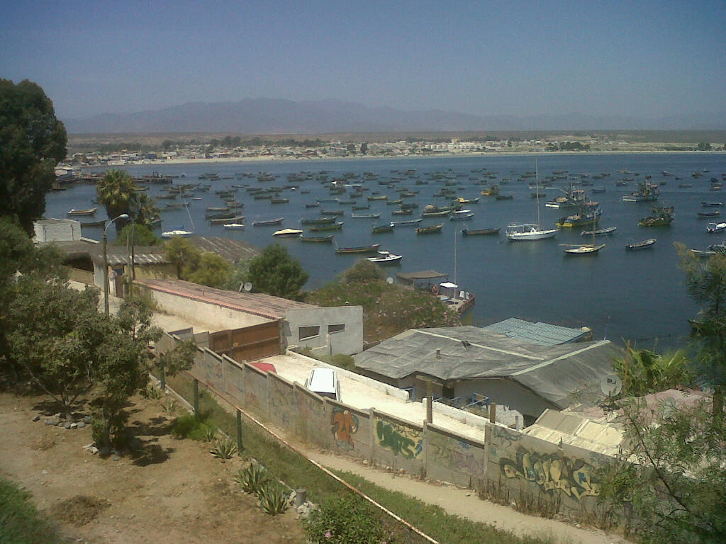 Foto de Costanera de Tongoy (3)