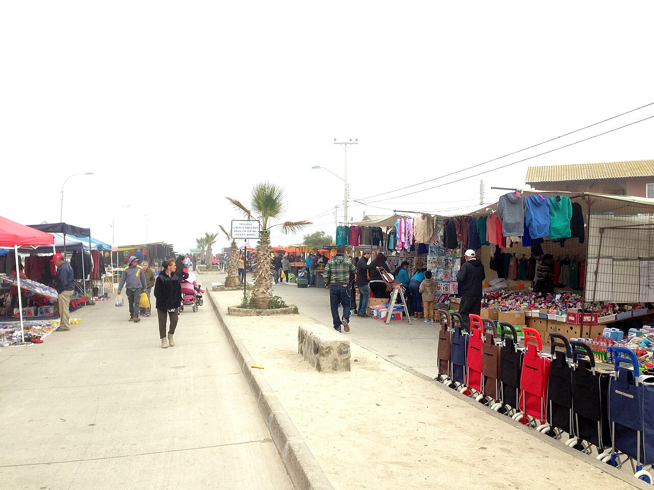 Foto de Costanera de Tongoy (4)