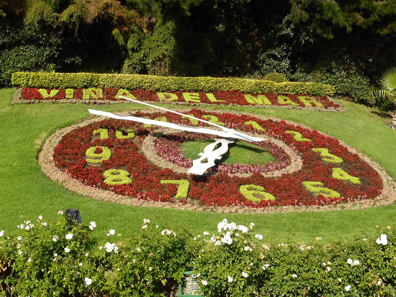 Foto de Reloj de Flores (3)
