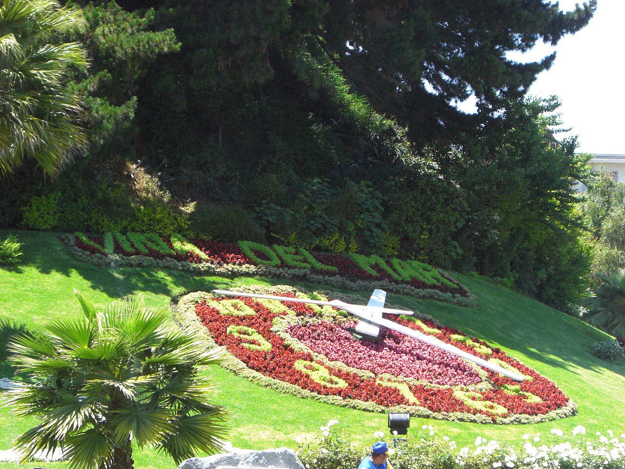 Foto de Reloj de Flores (4)