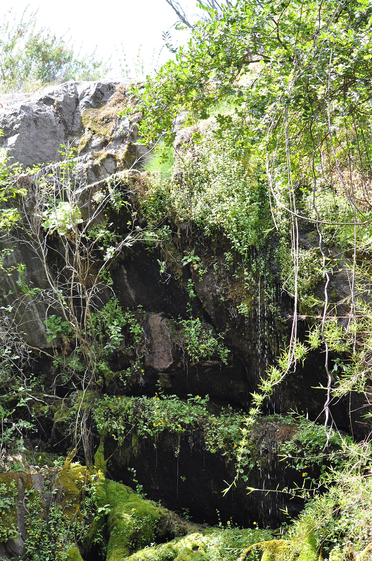 Parque Nacional La Campana