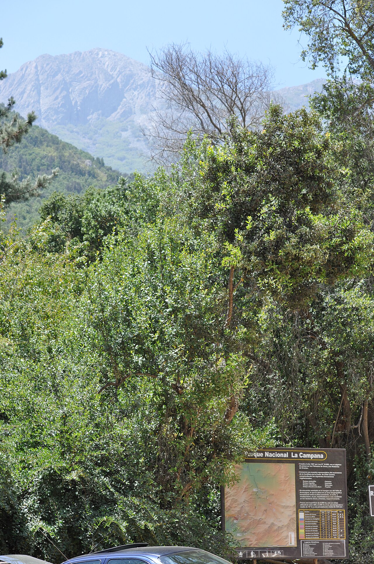 Foto de Parque Nacional La Campana (3)