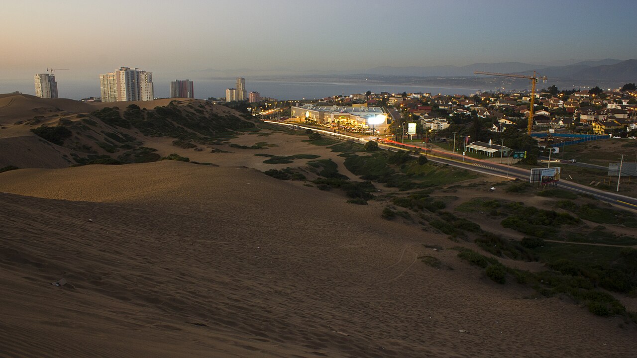 Foto de Dunas de Concón (3)