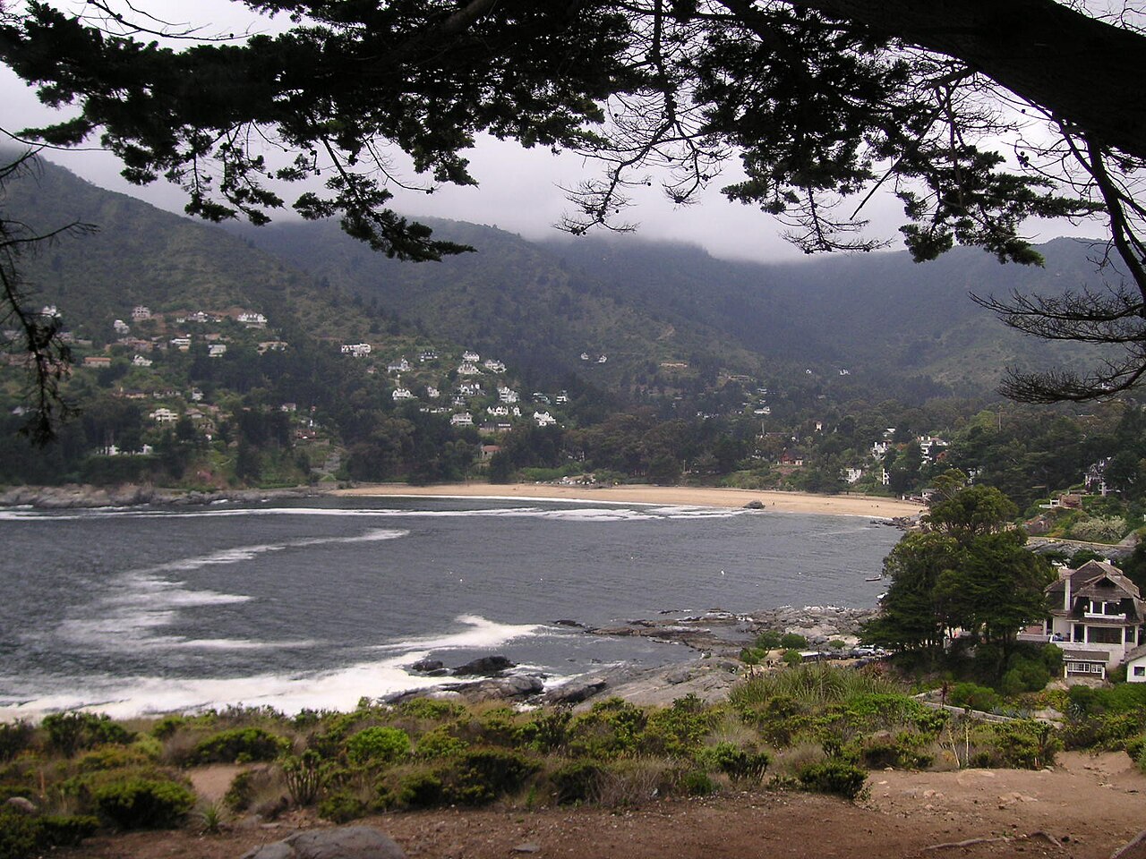 Foto de Caleta de Zapallar (3)