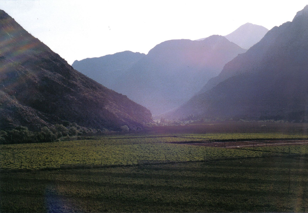 D-485: Vicuña → Pisco Elqui por el Valle del Elqui