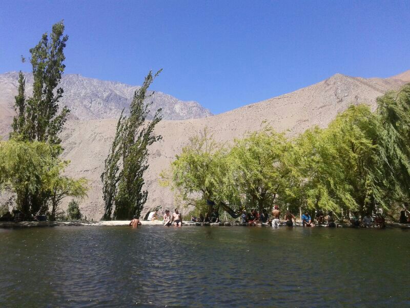 Foto de D-485: Vicuña → Pisco Elqui por el Valle del Elqui (3)