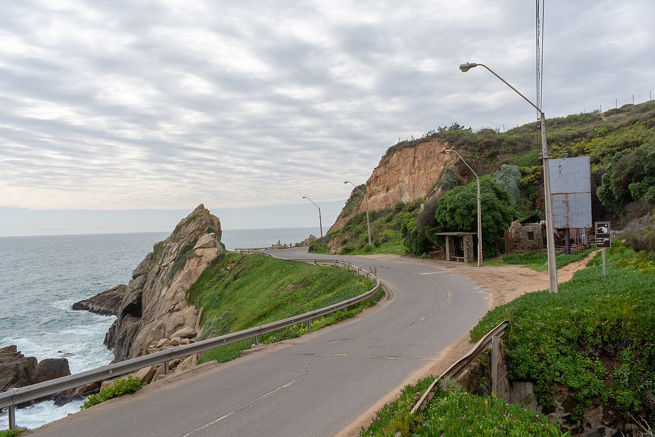 Avenida Borgoño: Viña del Mar → Concón por la costa