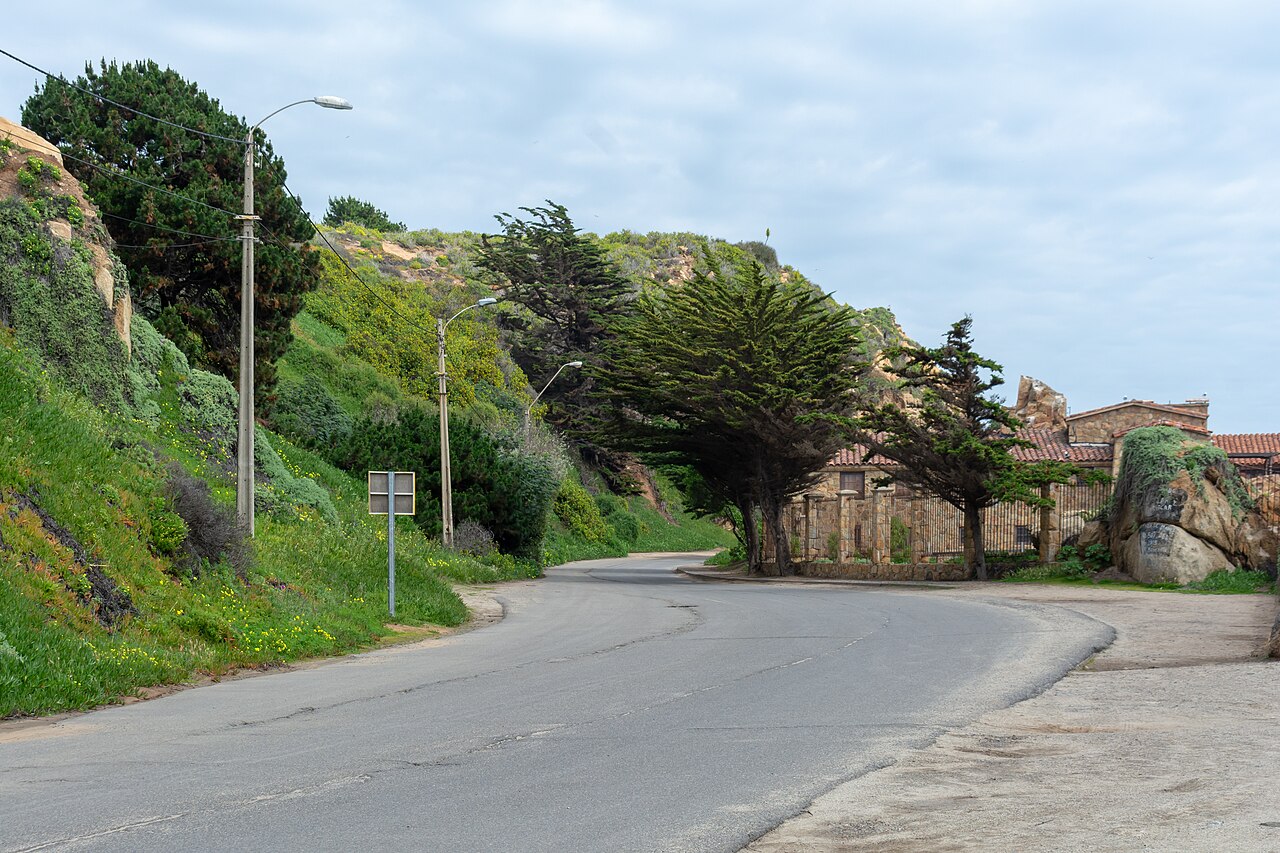 Foto de Avenida Borgoño: Viña del Mar → Concón por la costa (3)