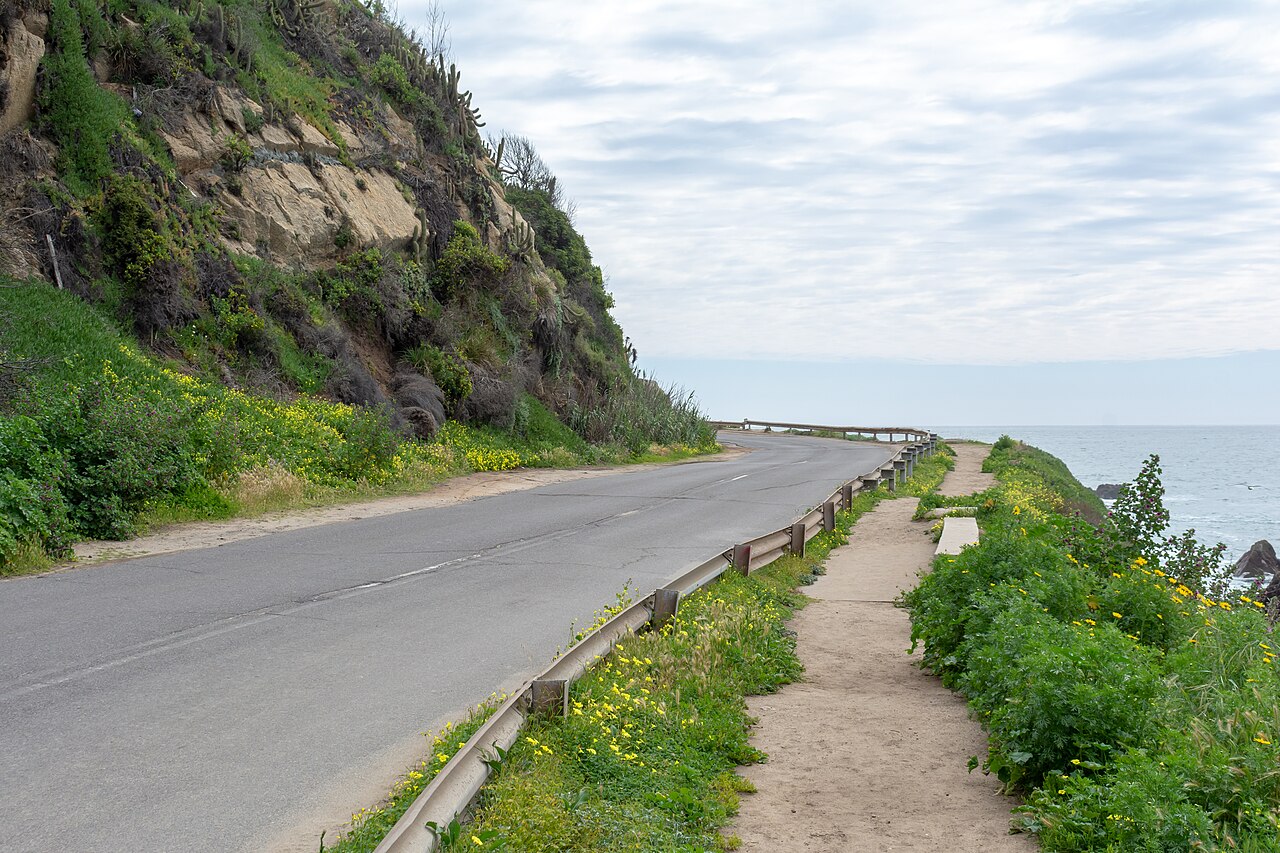 Foto de Avenida Borgoño: Viña del Mar → Concón por la costa (4)