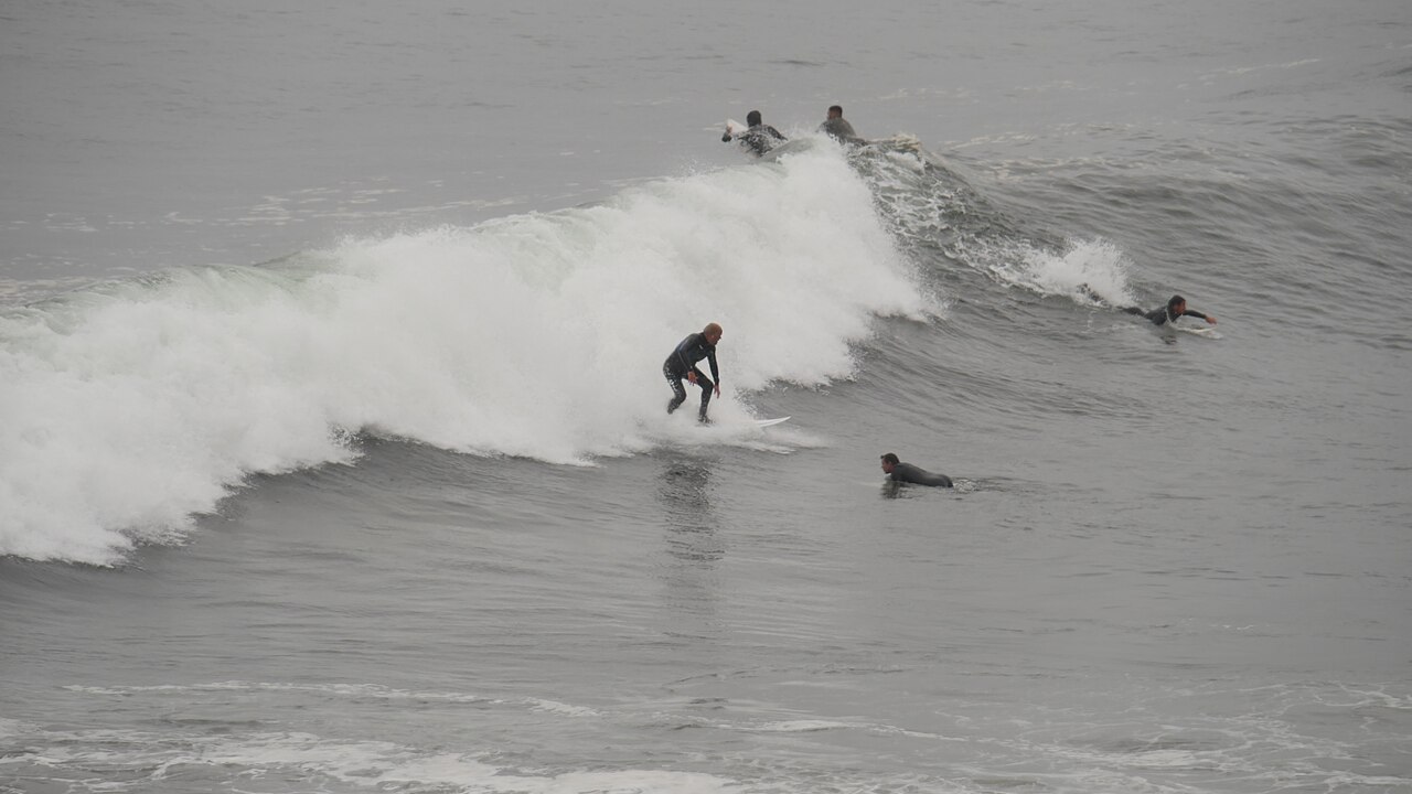 Foto de Punta de Lobos (5)