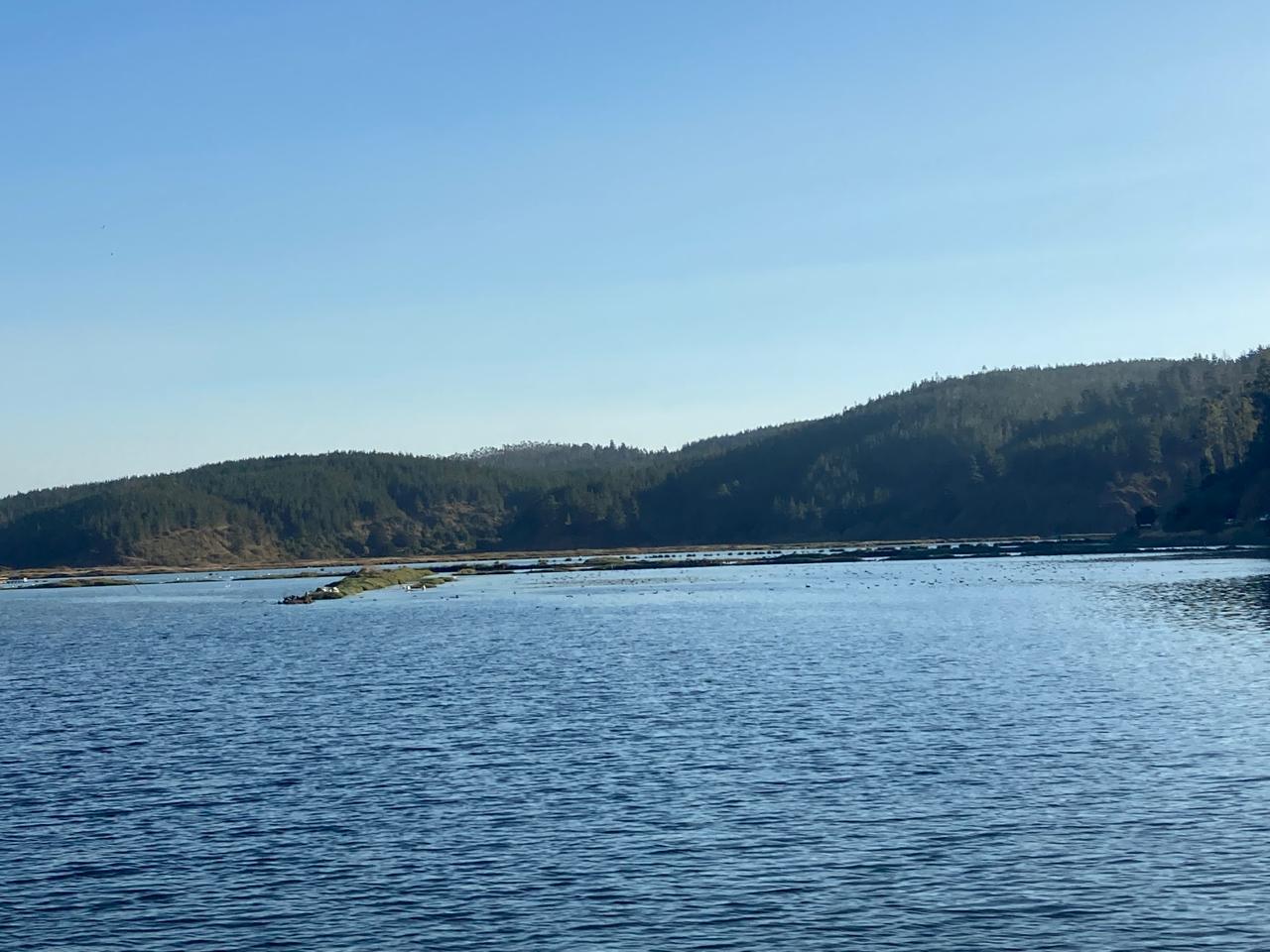 Foto de Salinas y laguna de Cáhuil (4)