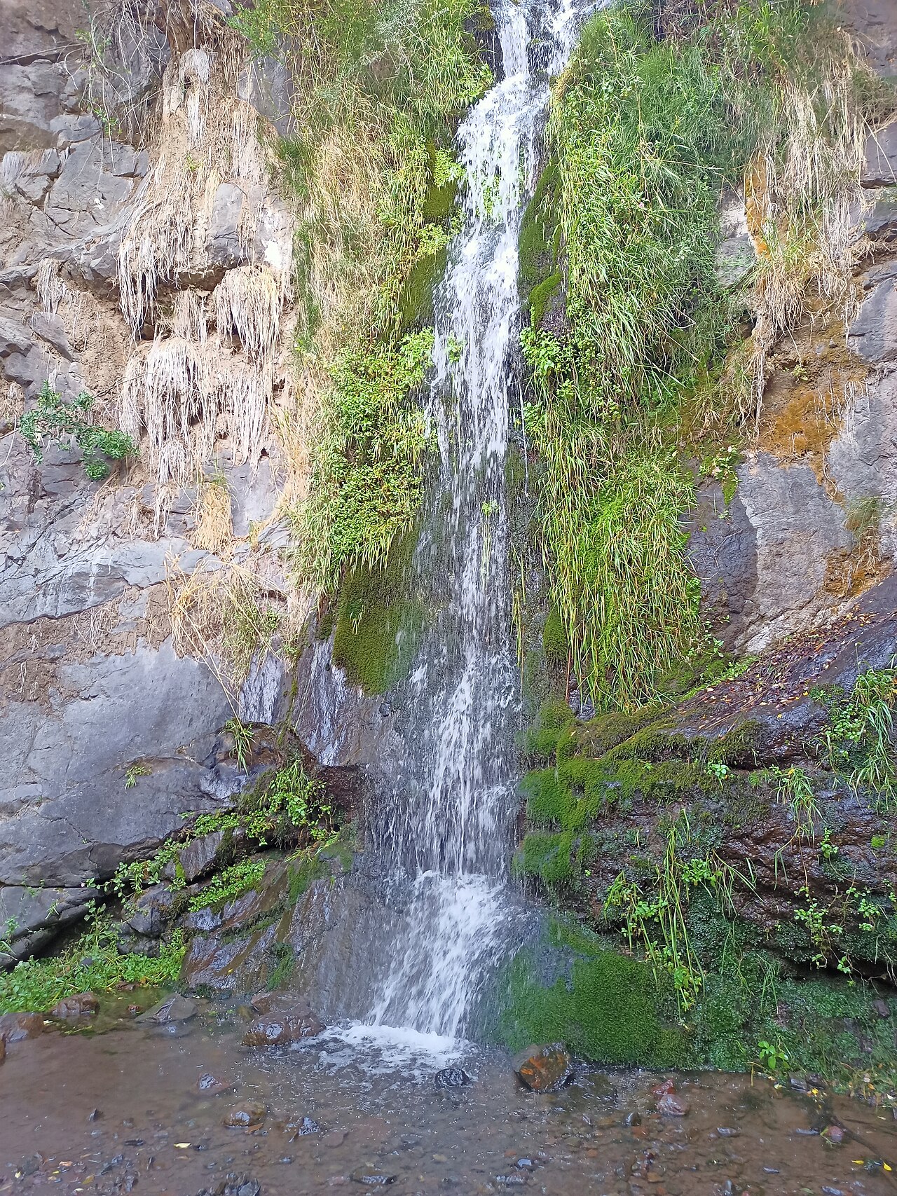 Reserva Nacional Río de los Cipreses