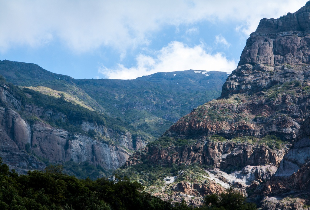 Foto de Reserva Nacional Río de los Cipreses (4)