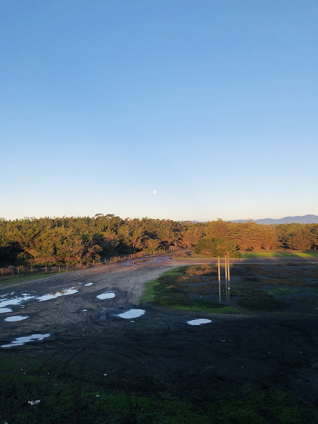 Foto de Reserva Nacional Federico Albert (5)