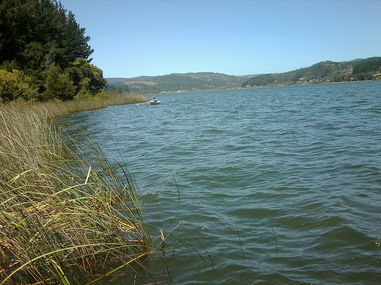 Foto de Lago Vichuquén (4)