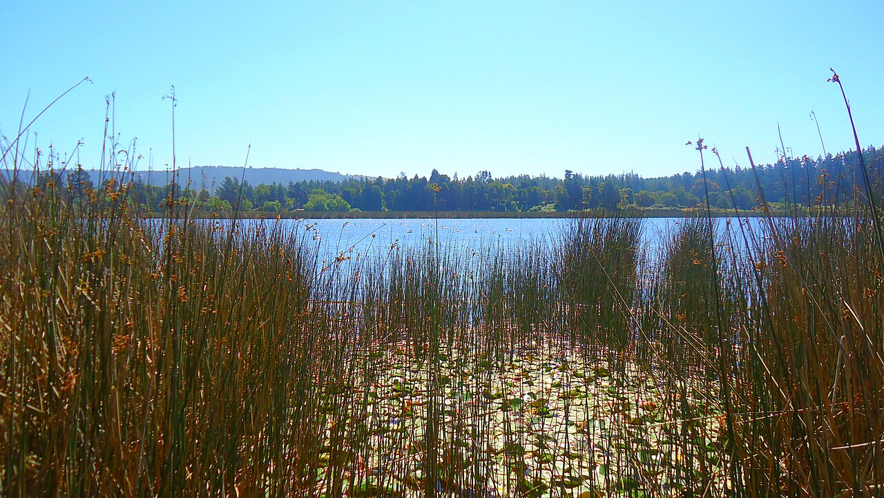 Foto de Laguna Torca (3)