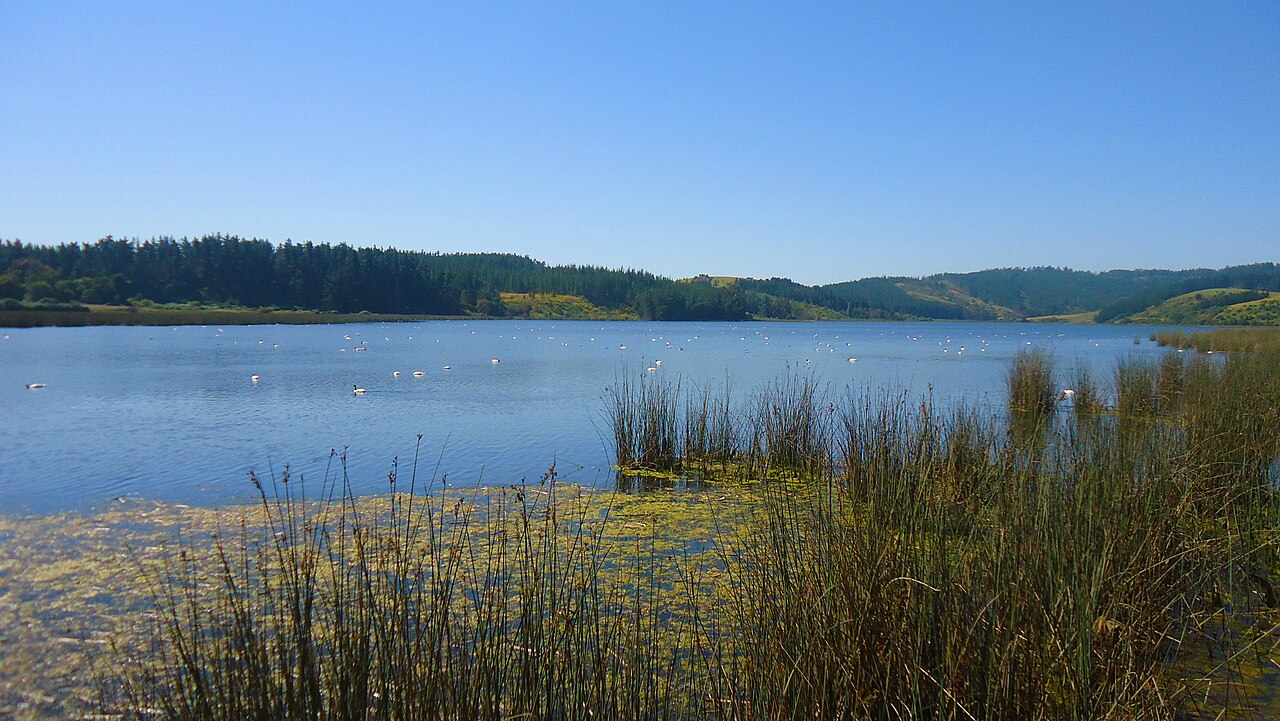 Foto de Laguna Torca (4)