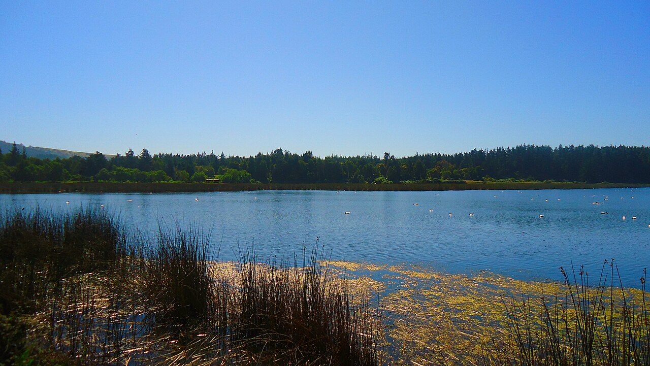 Foto de Laguna Torca (5)