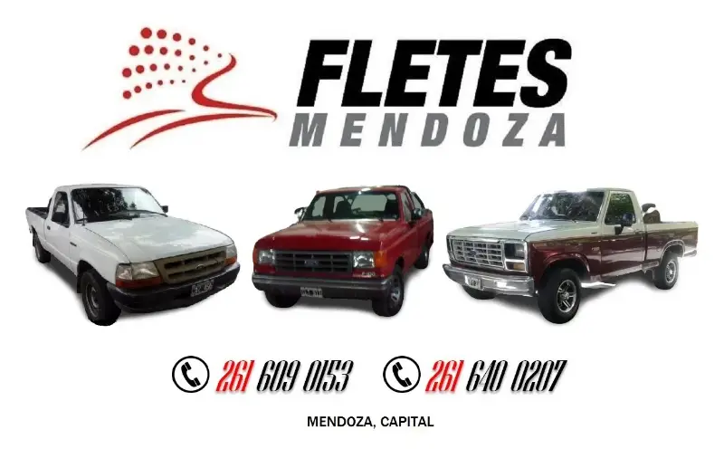 Fletes Mendoza