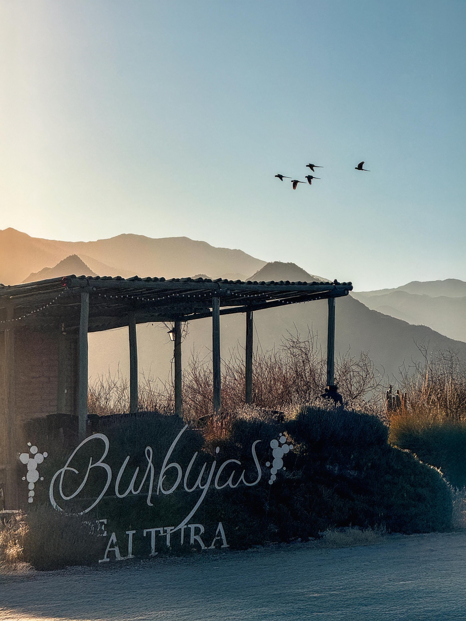 Bodega Burbujas de Altura