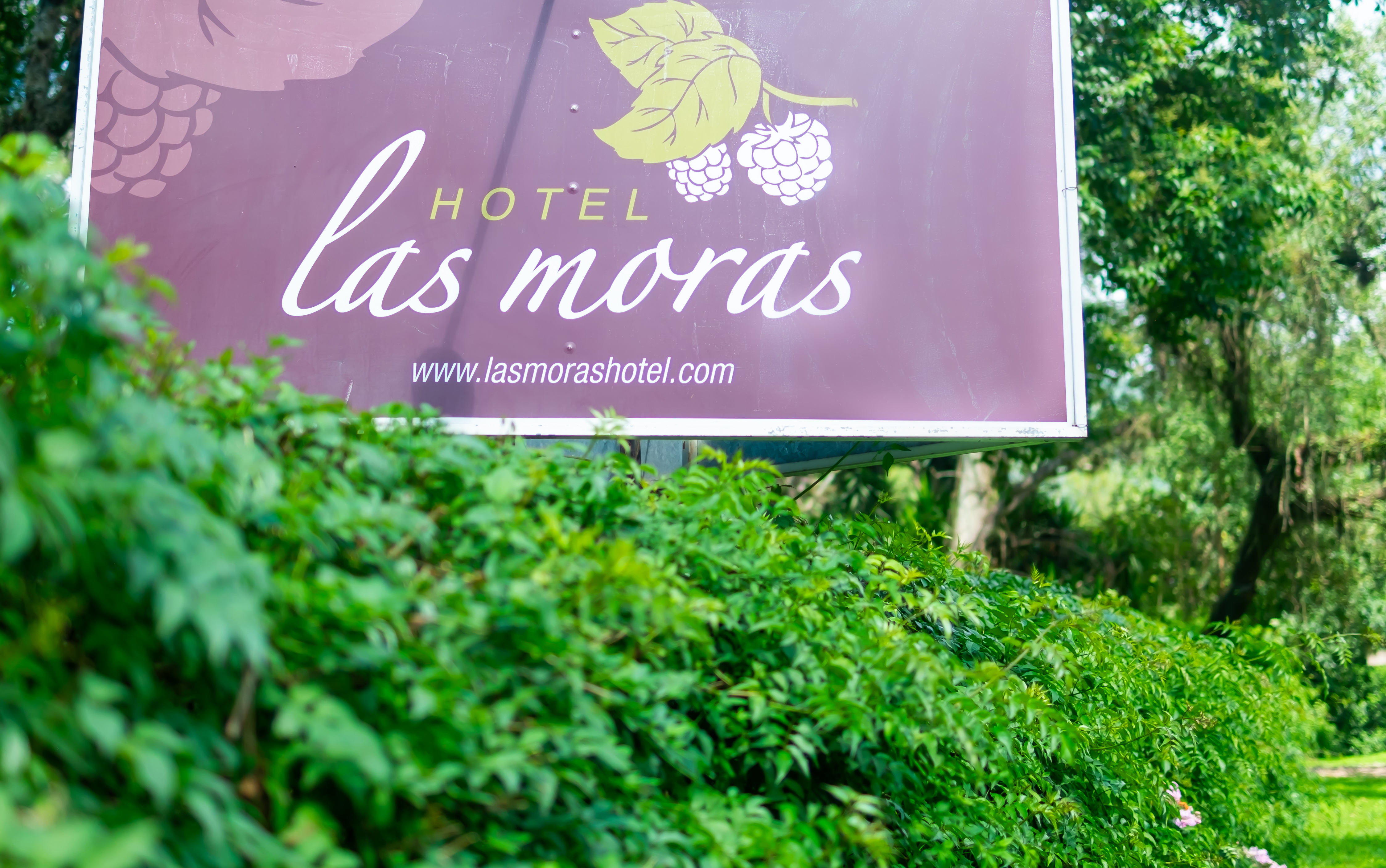Foto de Las Moras Hotel (6)