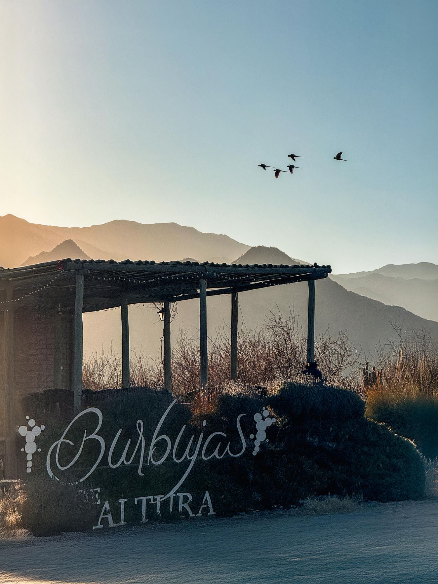 Foto de Bodega Burbujas de Altura (8)