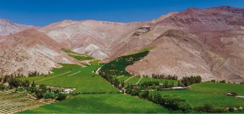 Pisco Elqui