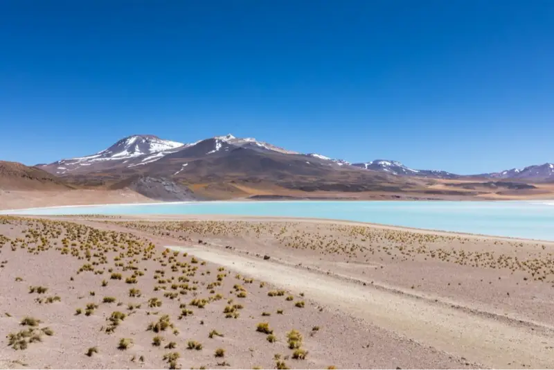 Trip photo: Day 2 · Calama