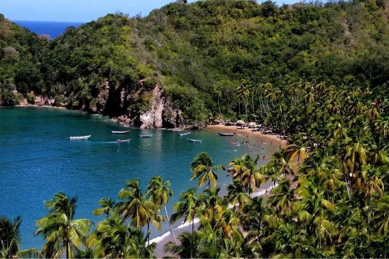 Cumana