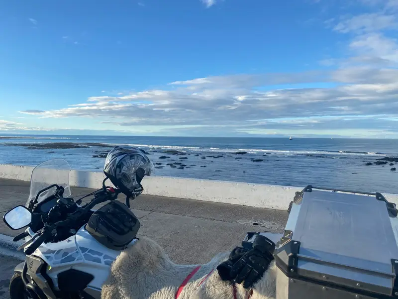 Caleta Olivia
