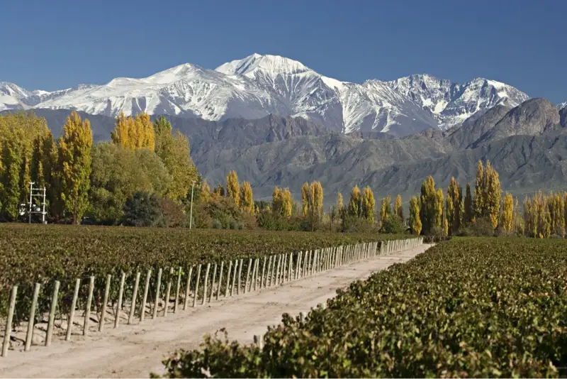 Mendoza