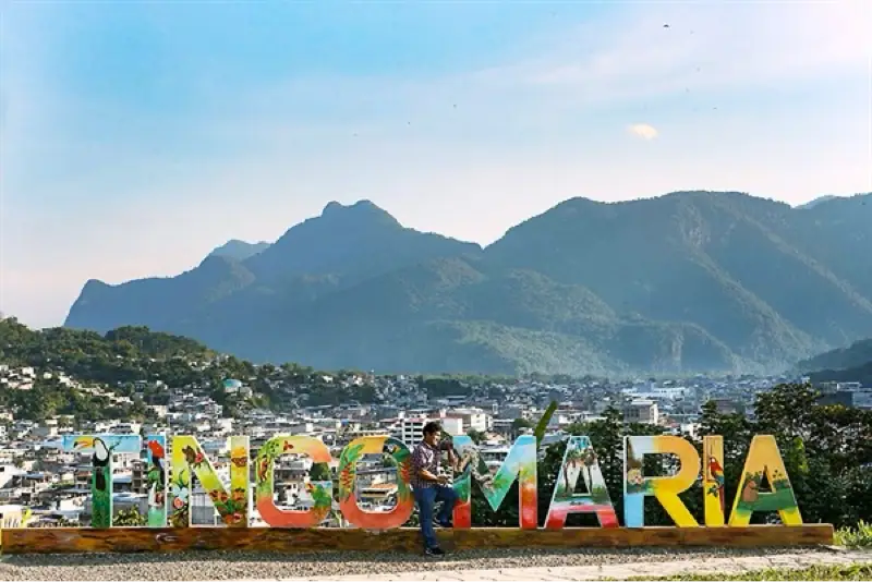 Tingo María