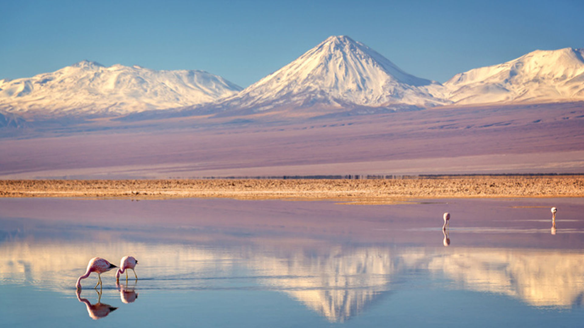 Foto del viaje: Día 5 · San Pedro de Atacama